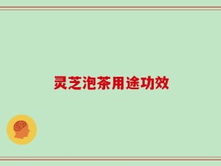 灵芝泡茶用途功效