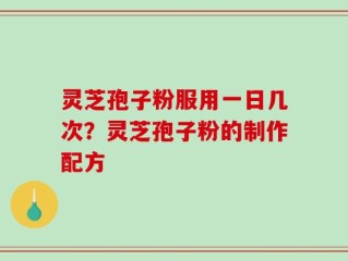 灵芝孢子粉服用一日几次？灵芝孢子粉的制作配方