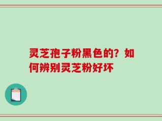 灵芝孢子粉黑色的？如何辨别灵芝粉好坏