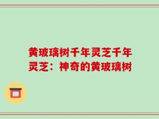 黄玻璃树千年灵芝千年灵芝：神奇的黄玻璃树