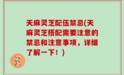 天麻灵芝配伍禁忌(天麻灵芝搭配需要注意的禁忌和注意事项，详细了解一下！)