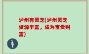 泸州有灵芝(泸州灵芝资源丰富，成为宝贵财富)
