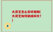 大灵芝怎么剪碎视频(大灵芝如何剁成碎片？)