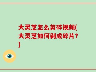 大灵芝怎么剪碎视频(大灵芝如何剁成碎片？)