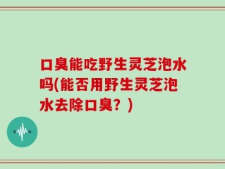口臭能吃野生灵芝泡水吗(能否用野生灵芝泡水去除口臭？)