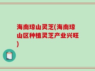 海南琼山灵芝(海南琼山区种植灵芝产业兴旺)