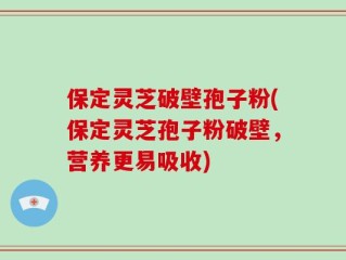 保定灵芝破壁孢子粉(保定灵芝孢子粉破壁，营养更易吸收)