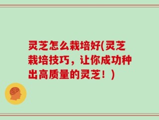 灵芝怎么栽培好(灵芝栽培技巧，让你成功种出高质量的灵芝！)