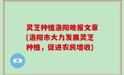 灵芝种植洛阳晚报文章(洛阳市大力发展灵芝种植，促进农民增收)