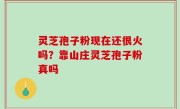 灵芝孢子粉现在还很火吗？靠山庄灵芝孢子粉真吗