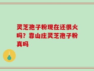 灵芝孢子粉现在还很火吗？靠山庄灵芝孢子粉真吗