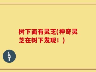 树下面有灵芝(神奇灵芝在树下发现！)