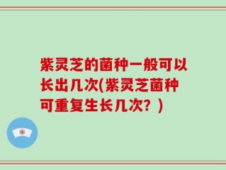 紫灵芝的菌种一般可以长出几次(紫灵芝菌种可重复生长几次？)