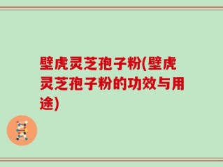壁虎灵芝孢子粉(壁虎灵芝孢子粉的功效与用途)