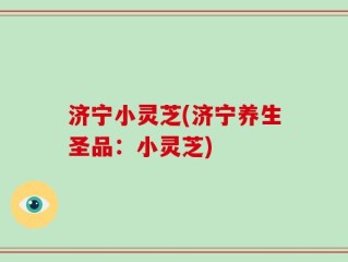 济宁小灵芝(济宁养生圣品：小灵芝)