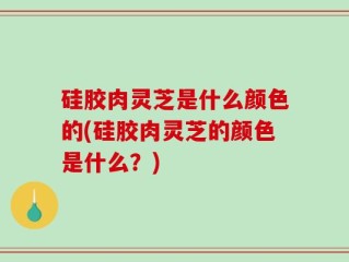 硅胶肉灵芝是什么颜色的(硅胶肉灵芝的颜色是什么？)