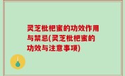 灵芝枇杷蜜的功效作用与禁忌(灵芝枇杷蜜的功效与注意事项)