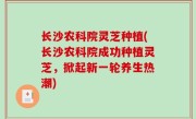 长沙农科院灵芝种植(长沙农科院成功种植灵芝，掀起新一轮养生热潮)
