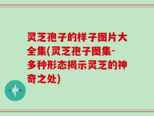 灵芝孢子的样子图片大全集(灵芝孢子图集-多种形态揭示灵芝的神奇之处)