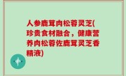人参鹿茸肉松蓉灵芝(珍贵食材融合，健康营养肉松蓉佐鹿茸灵芝香精液)