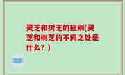 灵芝和树芝的区别(灵芝和树芝的不同之处是什么？)