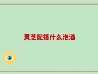 灵芝配搭什么泡酒