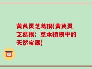 黄芪灵芝葛根(黄芪灵芝葛根：草本植物中的天然宝藏)