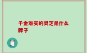 千金难买的灵芝是什么牌子