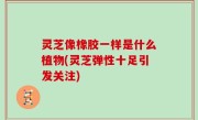 灵芝像橡胶一样是什么植物(灵芝弹性十足引发关注)