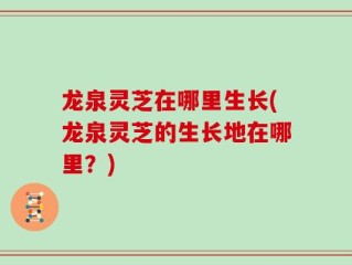 龙泉灵芝在哪里生长(龙泉灵芝的生长地在哪里？)