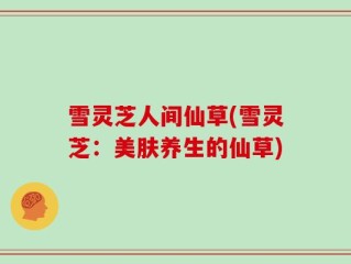 雪灵芝人间仙草(雪灵芝：美肤养生的仙草)