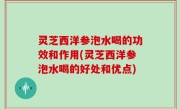 灵芝西洋参泡水喝的功效和作用(灵芝西洋参泡水喝的好处和优点)