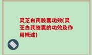 灵芝白芪胶囊功效(灵芝白芪胶囊的功效及作用概述)