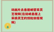 动画片去悬崖峭壁采灵芝视频(在陡峭悬崖上采摘灵芝的惊险旅程视频)