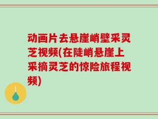 动画片去悬崖峭壁采灵芝视频(在陡峭悬崖上采摘灵芝的惊险旅程视频)