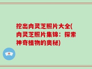 挖出肉灵芝照片大全(肉灵芝照片集锦：探索神奇植物的奥秘)
