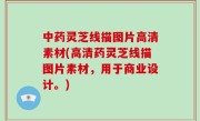 中药灵芝线描图片高清素材(高清药灵芝线描图片素材，用于商业设计。)