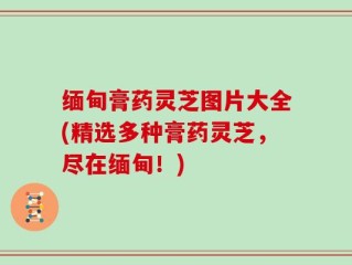 缅甸膏药灵芝图片大全(精选多种膏药灵芝，尽在缅甸！)