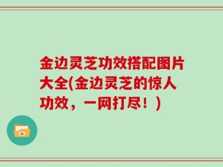 金边灵芝功效搭配图片大全(金边灵芝的惊人功效，一网打尽！)