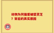 动物为何偏爱破壁灵芝？背后的真实原因