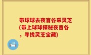 带球球去夜盲谷采灵芝(带上球球探秘夜盲谷，寻找灵芝宝藏)
