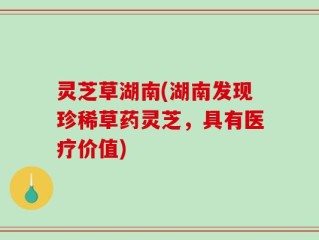 灵芝草湖南(湖南发现珍稀草药灵芝，具有医疗价值)