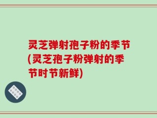 灵芝弹射孢子粉的季节(灵芝孢子粉弹射的季节时节新鲜)