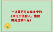 一只灵芝可以卖多少钱(灵芝价值惊人，售价或高达数千元)