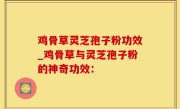 鸡骨草灵芝孢子粉功效_鸡骨草与灵芝孢子粉的神奇功效：