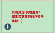 灵魂灵芝(灵魂重生！探索灵芝草药的疗效与奥秘！)
