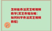 怎样能养活灵芝呢视频教学(灵芝养殖攻略：如何科学养活灵芝视频教程)