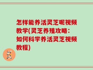 怎样能养活灵芝呢视频教学(灵芝养殖攻略：如何科学养活灵芝视频教程)