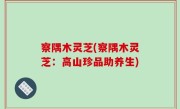 察隅木灵芝(察隅木灵芝：高山珍品助养生)