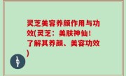 灵芝美容养颜作用与功效(灵芝：美肤神仙！了解其养颜、美容功效)